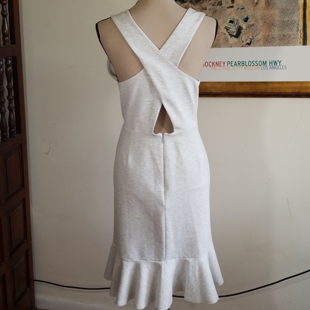 Banana Republic Peplum Sleeveless Fit & Flare Grey Dress. Size 10P - Picture 7 of 10